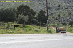 161- Grece Lindos 